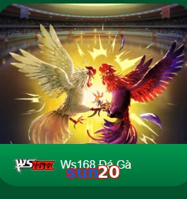 sun20